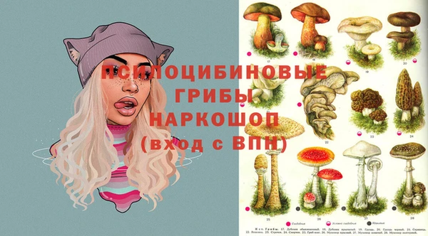 MESCALINE Белокуриха