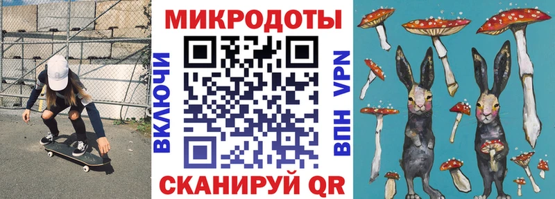 купить наркотики сайты  сайты даркнета наркотические препараты  Галлюциногенные грибы Psilocybe  Приозерск 